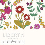 Lola Weisselberg B -  Liberty Tana Lawn