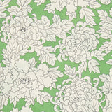 Costume C -  Liberty Tana Lawn
