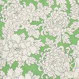Costume C -  Liberty Tana Lawn