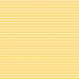 Devonstone 1/8th Stripe - Sunnyside
