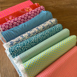 Petit Pan Bundle - Picnic Palette