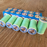 Fil à Gant Thread - Pale Green (808)