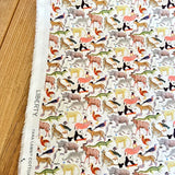 Quey 2 A -  Liberty Tana Lawn