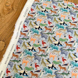 Quey 2 C -  Liberty Tana Lawn